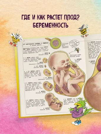 Книга: Давай поговорим о том, откуда берутся дети. О зачатии, рождении, младенцах и семьях EKS-871308 Книга: Давай поговорим о том, откуда берутся дети. О зачатии, рождении, младенцах и семьях EKS-871308