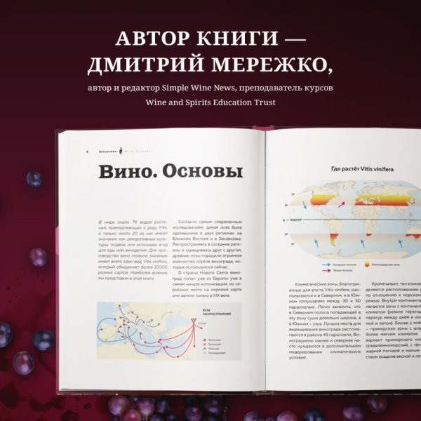 Книга: Виномания. Наглядный путеводитель по винному миру EKS-788339