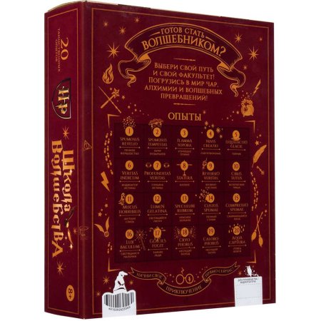 Научно-познавательный набор Re-Агенты "Школа волшебства. Тайны факультетов" AS-EX274T