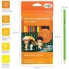 Карандаши цветные ГАММА "Оранжевое солнце" 12 цв (6 классич, 6 неон) заточенные, картон, европодвес RE-80220230