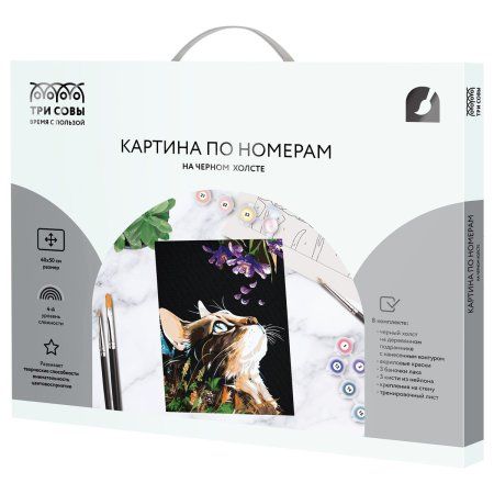 Картина по номерам на черном холсте ТРИ СОВЫ "Сладкий запах" 40 x 50 см, краски и кисть RE-КХп_48165