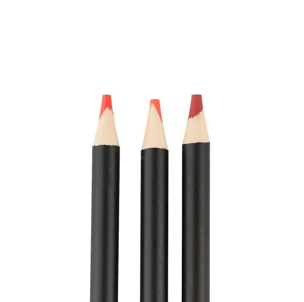 Набор цветных карандашей SKETCHMARKER Природа 24 цв мет.пенал NP-SMCP-NATURE24