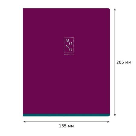 Тетрадь 96л. A5 клетка BG "Monocolor. Bright color" тиснение фольгой RE-Т5ск96_тф 11120