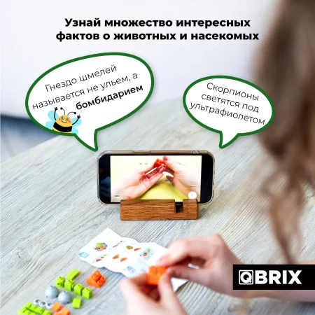 Конструктор QBRIX KIDS Мир жучков MAGГевис30021
