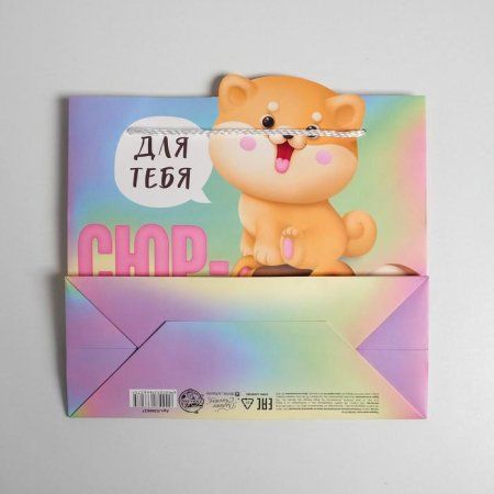 Пакет подарочный "Сюрприз" 25 x 26 x 10 см SIM-5266627