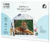 Картина по номерам на картоне ТРИ СОВЫ "Тигр" 30 x 40 см с акриловыми красками и кистями RE-КК_44027