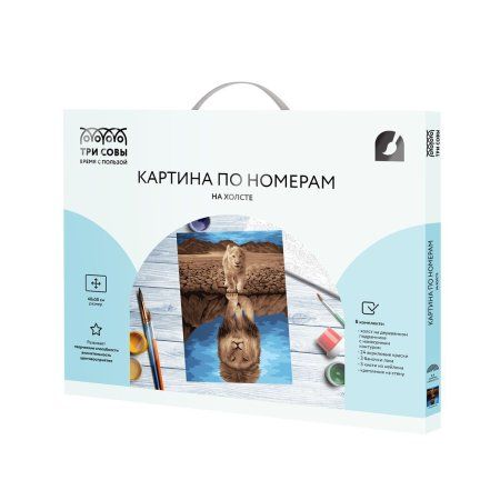 Картина по номерам на холсте ТРИ СОВЫ "Отражение" 40 x 50 см, краски и кисть RE-КХ4050_53920