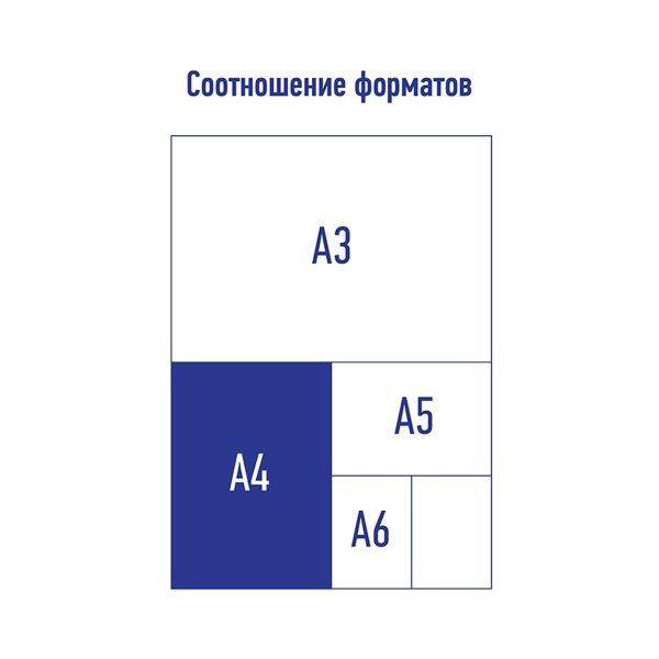 Папка-конверт на молнии A4 Berlingo "Eco XS" 180 мкм, с рисунком RE-ZBn_A4802
