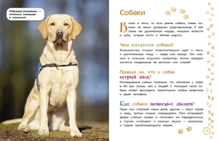 Книга: Животные. Большая детская энциклопедия EKS-713713