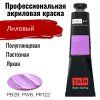 Краска "Акрил-Арт" туба 45 мл Лиловый 0210061