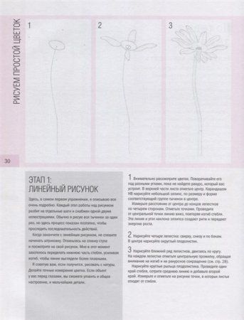 Книга: Ботаническая иллюстрация. Пошаговое руководство. От эскиза до готовой композиции EKS-001421