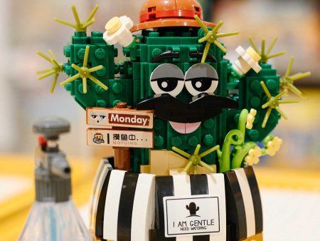 Конструктор LOZ "Весёлый кактус" IT-1245_MK