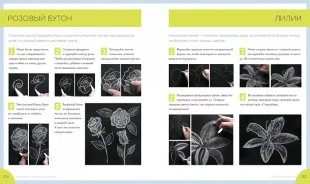 Книга: Большая книга мелового леттеринга. Создавай и развивай свой стиль MIF-177135