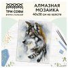 Алмазная мозаика ТРИ СОВЫ "Волчья мудрость" 40 x 50 см, холст RE-АМ4050_47566