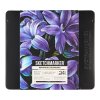 Набор цветных карандашей SKETCHMARKER Ботаника 24 цв мет.пенал NP-SMCP-BOTANIC24
