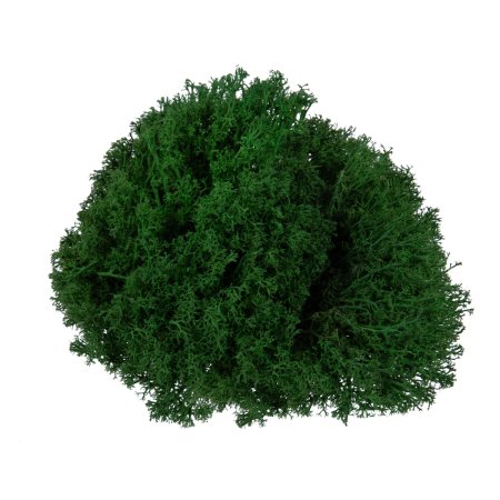 Мох стабилизированный окрашенный Королевский ягель №02 т.зеленый 45 г BMSP-45-02