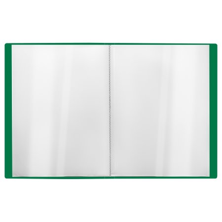 Папка с 60 вкладышами A4 СТАММ "Стандарт" 21 мм, 700 мкм, пластик, зеленая RE-ММ-30625 Папка с 60 вкладышами A4 СТАММ "Стандарт" 21 мм, 700 мкм, пластик, зеленая RE-ММ-30625