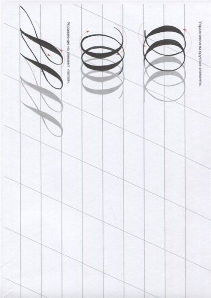 Книга: Каллиграфия кистью. Прописи. Латиница EKS-956432