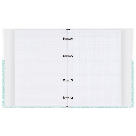 Тетрадь на кольцах 120л. A5 BG "Красивый полет" глянцевый ламинация RE-ТТ5к120_лг_11363