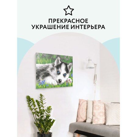 Картина по номерам на картоне ТРИ СОВЫ "Голубоглазый пушистик" 30 x 40 с акриловыми красками и кистями RE-КК_44043