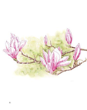 Книга: Цветочный скетчинг. Как создавать быстрые зарисовки цветов и растений EKS-662066