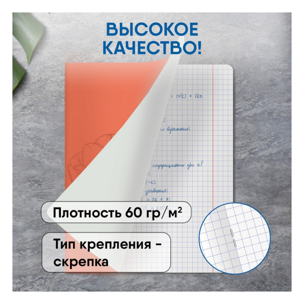 Тетрадь 48л. А5 клетка BG "Однотонный. Спокойствие" выб. лак RE-Т5ск48вл11030