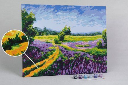 Набор для раскрашивания по номерам (холст на подрамнике) ФРЕЯ 50 х 40 см "Цветущее поле" PNB/PL-151