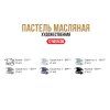 Набор масляной пастели VISTA-ARTISTA Limited Edition 12 шт 01 монохром VAOPL-12M