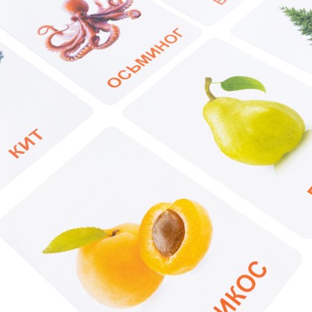 Обучающие карточки "Мир вокруг" 128 картинок KOR-05980