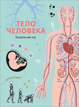 Книга: Тело человека. Визуальный гид ROS-36713