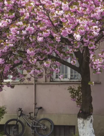 Книга: Wabi Sabi. Японские секреты истинного счастья в неидеальном мире EKS-998036