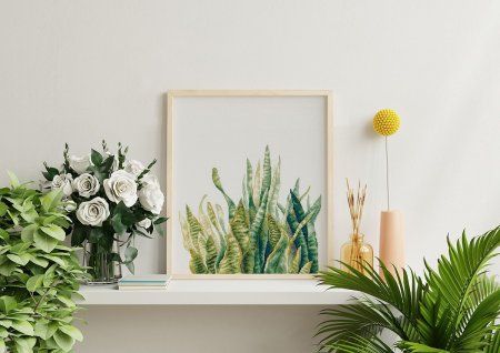 Набор для вышивания PANNA Сансевиерия 35 х 43.5 см C-7455 Набор для вышивания PANNA Сансевиерия 35 х 43.5 см C-7455