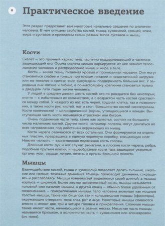 Книга: Анатомия для художников. Практический курс EKS-998876