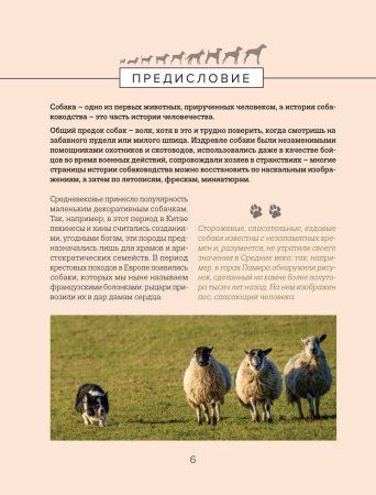 Книга: Собаки. Иллюстрированный гид по самым популярным породам EKS-560881