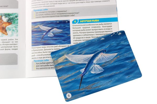 Настольная игра: Десятое королевство "Мемо. Водный мир" 50 карточек KOR-03593