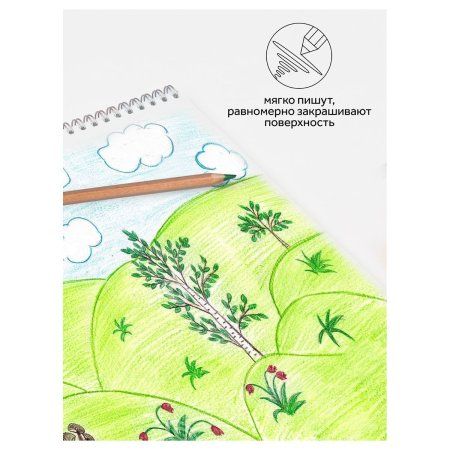 Карандаши цветные ГАММА "Мультики" 12 цв супермягкие, увелич. грифель 4 мм, заточен, картон RE-80220216