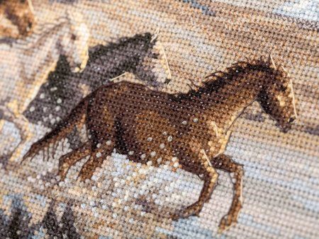 Набор для вышивания PANNA Золотая серия. Бегущие по волнам J-7244