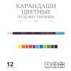 Набор цветных карандашей VISTA-ARTISTA Gallery 12 цв VGCP-12