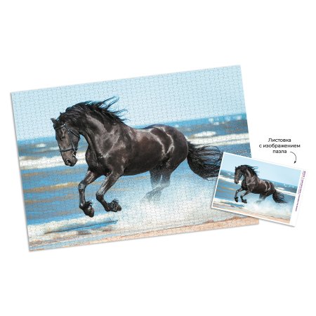 Пазл 2000 элементов ФРЕЯ "Навстречу бризу" PZL-2000/45