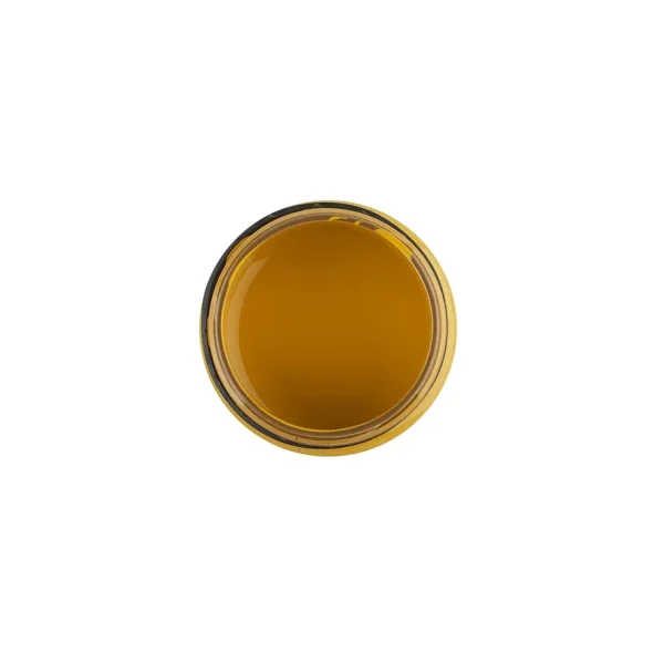 Краска акриловая по стеклу/керамике DECOLA банка 50 мл, 206 Охра светлая NP-4028206