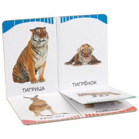 Книга: Мамы и малыши (Дикие животные) (Первые слова) ROS-32514