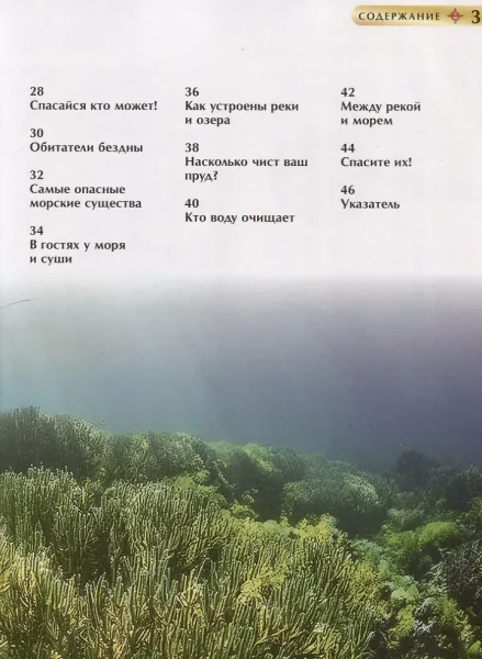 Книга: Подводный мир. Детская энциклопедия ROS-62597