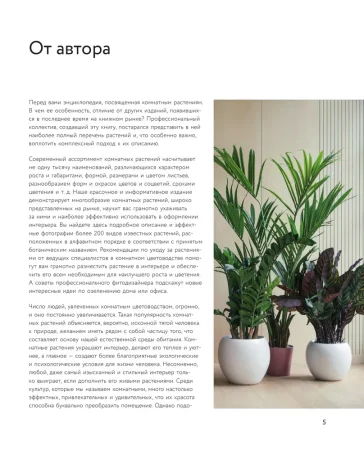 Книга: Зеленый оазис. Комнатные растения от А до Я EKS-987863