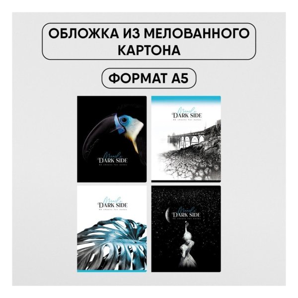 Тетрадь 96л. A5 клетка BG "Dark miracle" выб. лак RE-Т5ск96_вл_11117