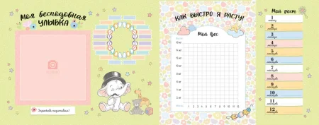 Книга: Наш малыш. Первый год. Фотоальбом на память ROS-37985