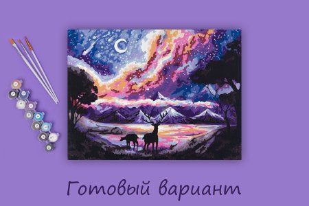 Набор для раскрашивания по номерам (цветной холст) ФРЕЯ 40 х 30 см "Волшебство ночи" PNB/PMC-220