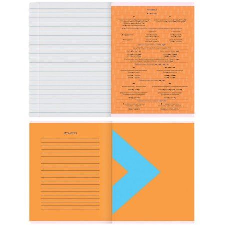 Тетрадь предметная 48л. MESHU "Bright splash" - Русский язык, матовая ламинация, выборочный УФ-лак RE-MS_42563