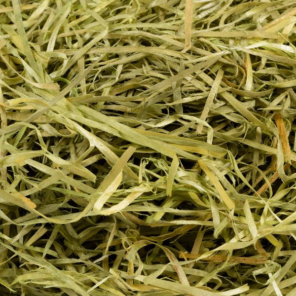 Декоративный наполнитель "Трава" Blumentag 50 г ± 5 г 02 зеленый BDF-50-02