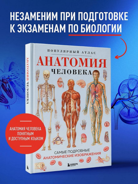 Книга: Анатомия человека. Популярный атлас. Самые подробные анатомические изображения EKS-980351