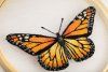Набор для вышивания PANNA Живая картина. Бабочка. Монарх" 13 х 13 см JK-2234
